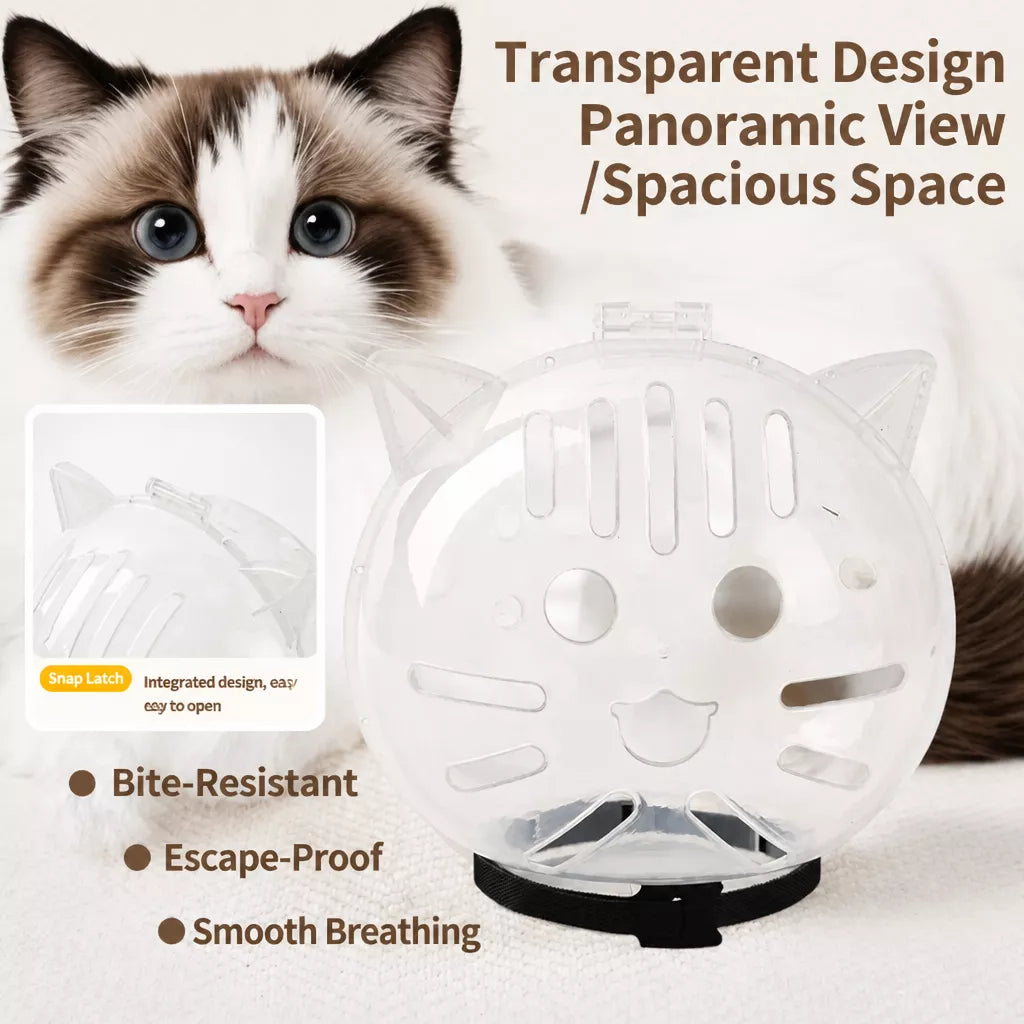 Clear Plastic Recovery Cone for Cats