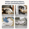 Covered Pet Bed House for Dogs and Cats - p-00712