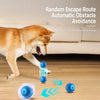 Interactive Squeaky Bouncing Ball Dog Toy