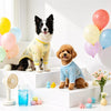 Lightweight Four-Leg Dog Shirt for Warm-Weather Wear