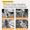 Summer Pet Harness, Leash and Hat Sets - p-00623