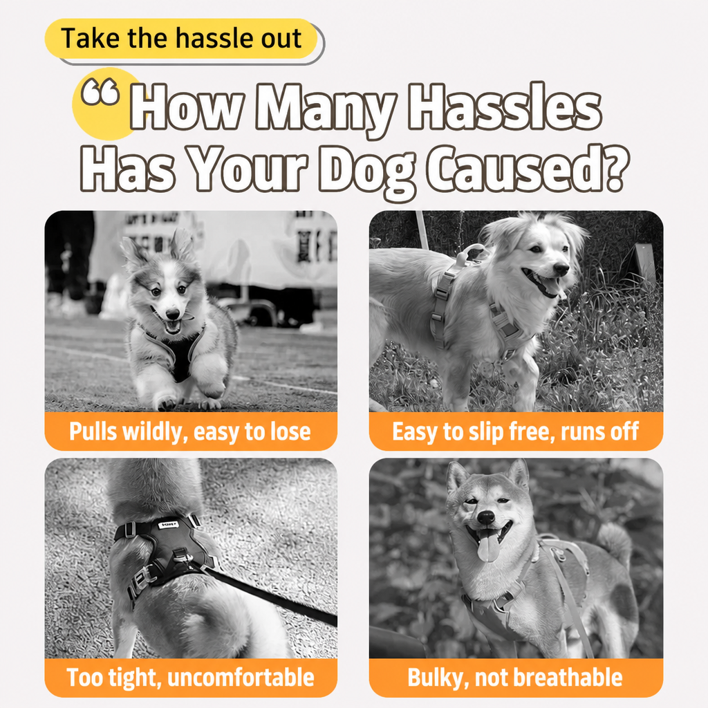 Summer Pet Harness, Leash and Hat Sets - p-00623