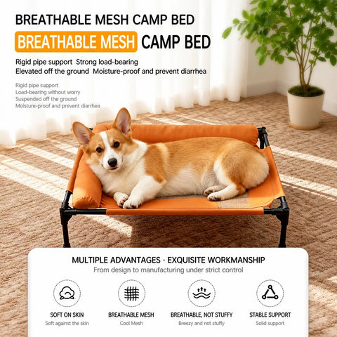 Elevated Mesh Dog Cot with Iron Frame for Small and Large Dogs