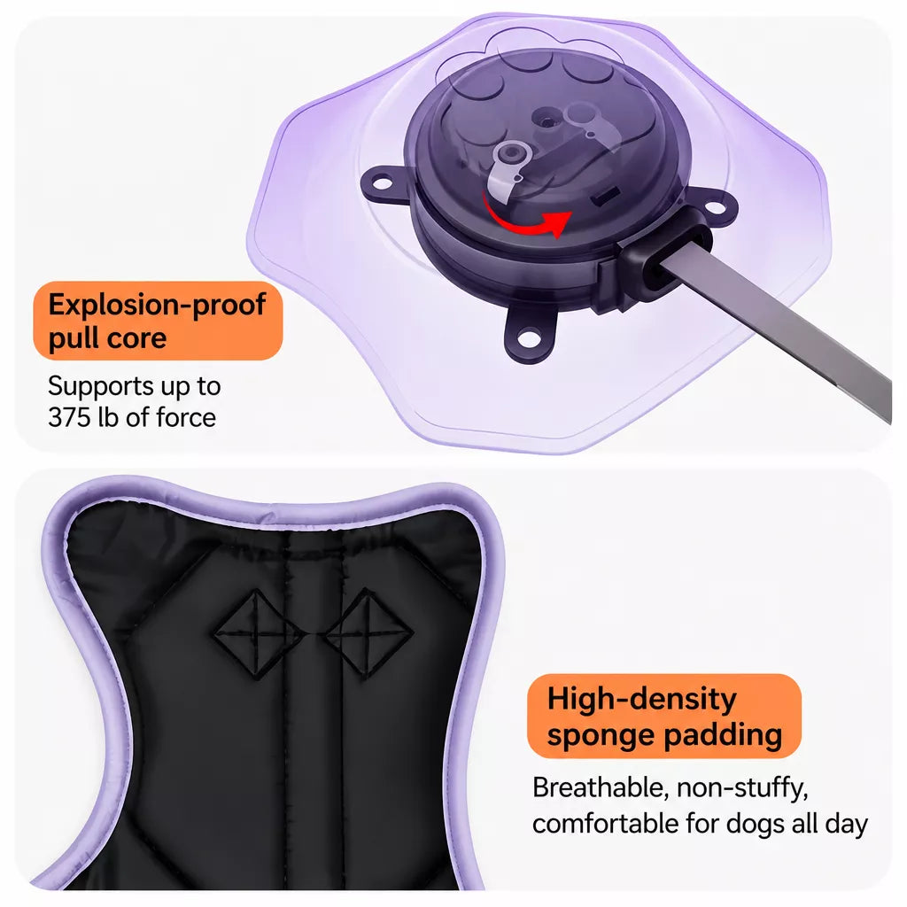 All-in-One Dog Harness with Leash
