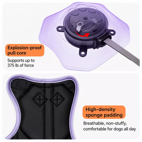 All-in-One Dog Harness with Leash