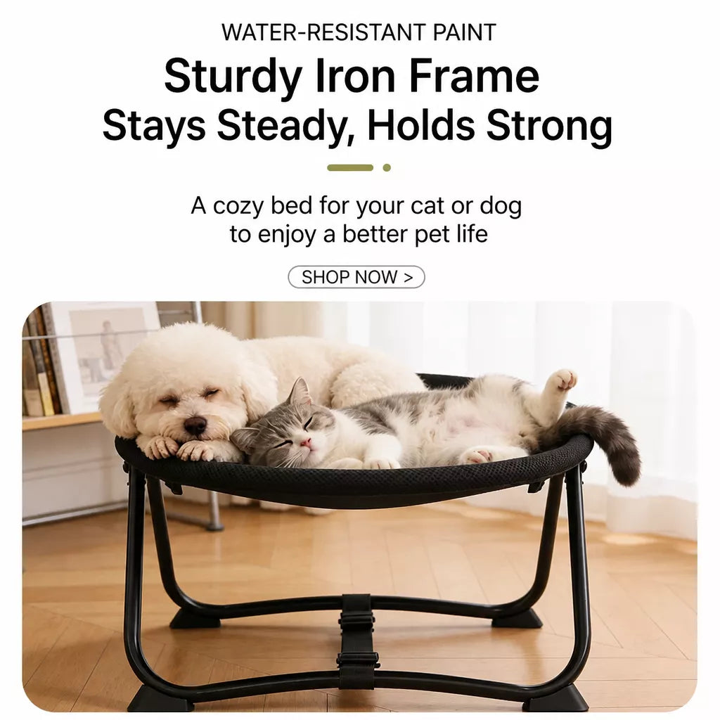 Foldable Elevated Oval Pet Cot for Cats & Dogs