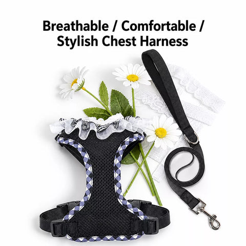 Nylon H-Style Dog Harness and 6.6-Foot Leash Set