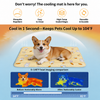 PVC Pet Rest Mat for Dogs and Cats