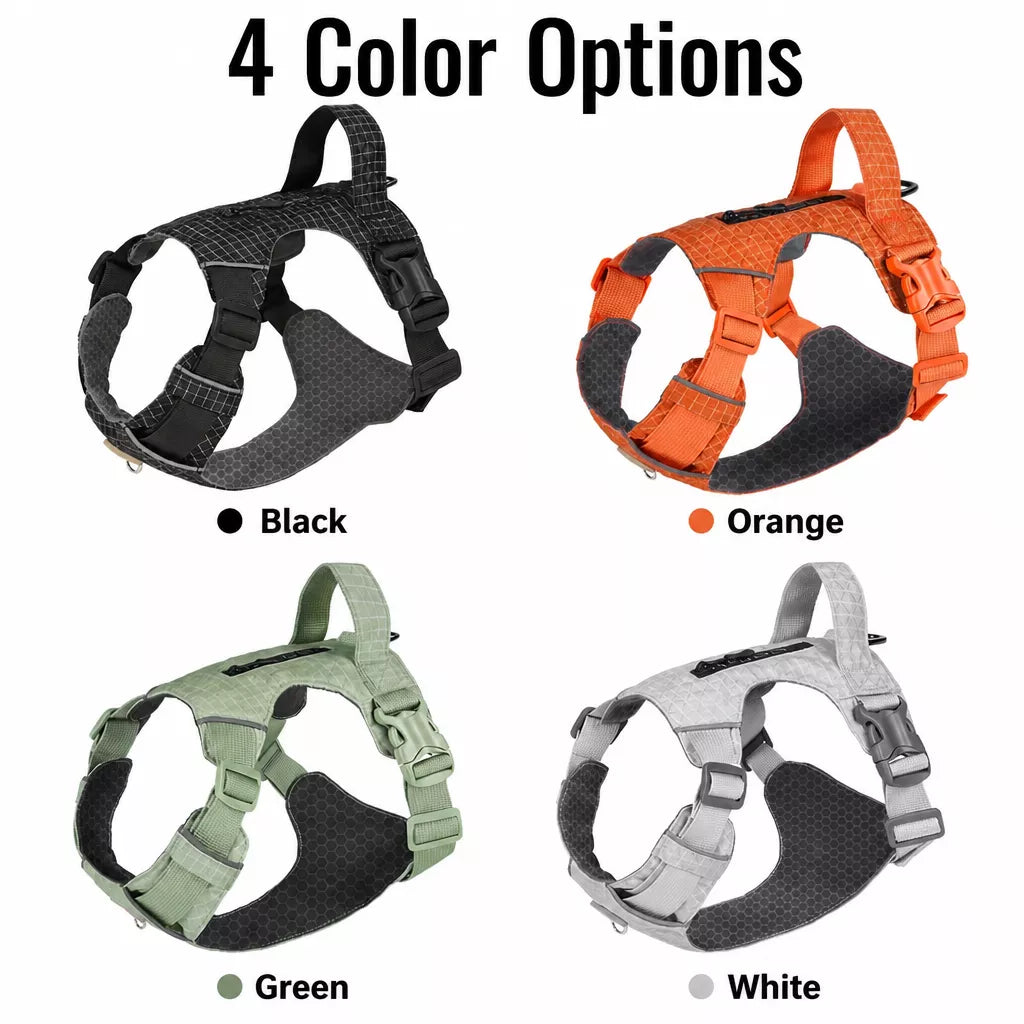 Adjustable Nylon Vest-Style Dog Harness with Matching Leash