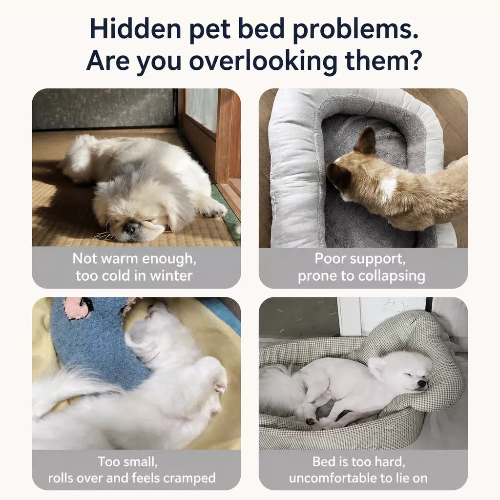 Covered Dog House Bed for Dogs