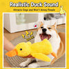 Plush Squeaky Dog Toys – Duck, Rope & Multi-Piece Designs