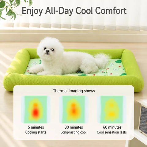 Cooling Dog Bed with Removable, Washable Design
