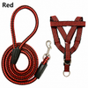 Adjustable Nylon Pet Harness and Leash Set