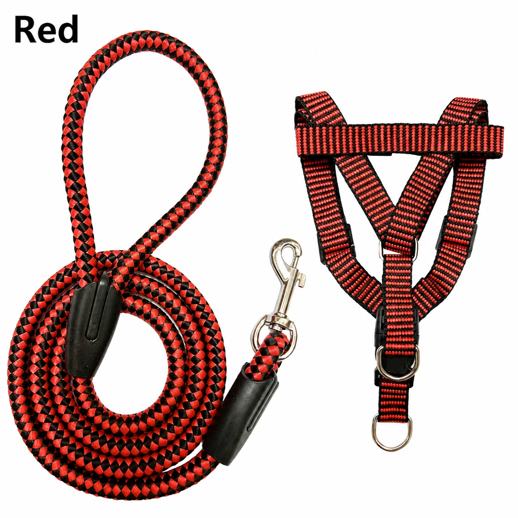 Adjustable Nylon Dog Harness & Leash Set