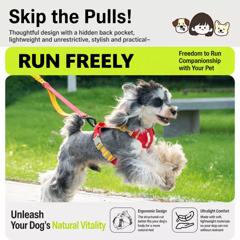 Adjustable Vest-Style Dog Harness for Small to Medium Dogs