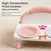 Raised Ceramic Double Pet Bowl Set