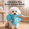 Plush Squeaky Dog Toy