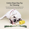 Corn-Shaped Dog Chew Toy