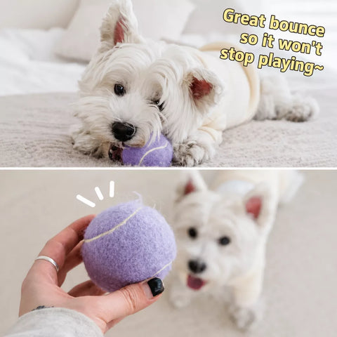 Ice Cream-Themed Interactive Dog Ball Toy