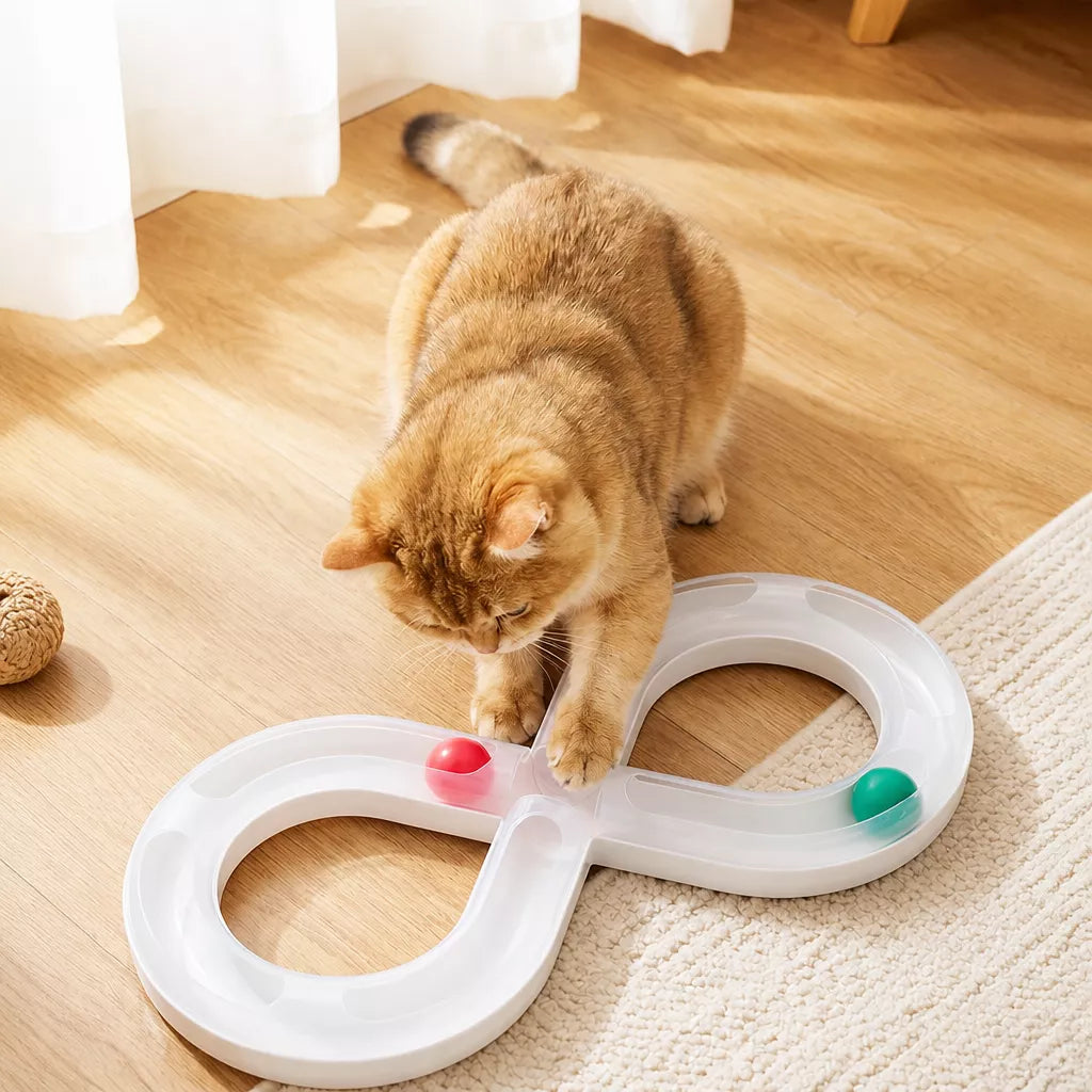 8-Shape Track Ball Interactive Cat Toy