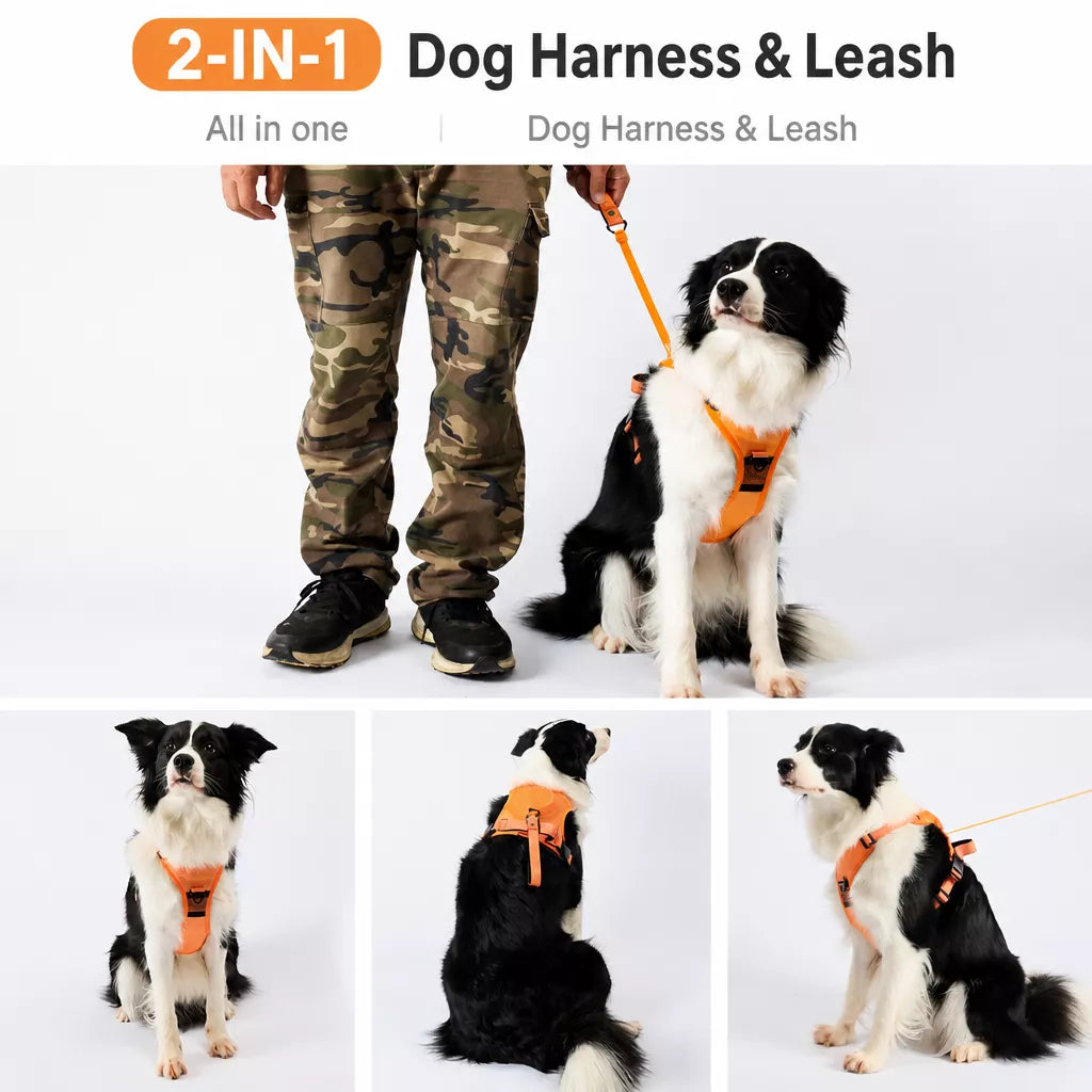 Nylon Dog Harness with Retractable Leash