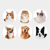 Pet Detangling, Deshedding and Thinning Comb for Cats and Dogs - p-00304