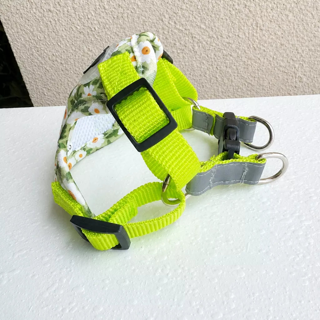 Reflective Vest Harness and Leash Set for Cats and Small Dogs