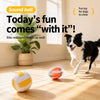 Squeaky Vinyl Dog Toy Balls for Small and Medium Dogs