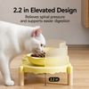 Ceramic Pet Bowl Set with Stand
