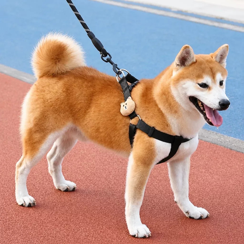 Adjustable Nylon Dog Harness & Leash