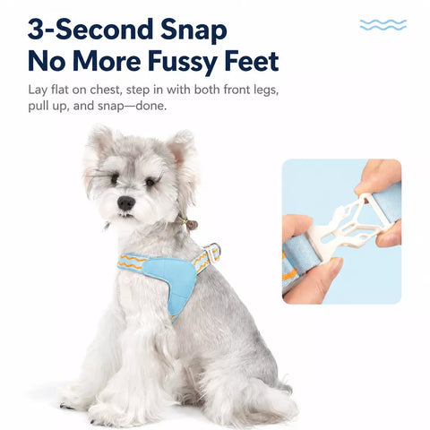 Y-Shaped Nylon Dog Harness and Leash for Small to Medium Dogs
