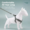 Small Dog Vest Harness