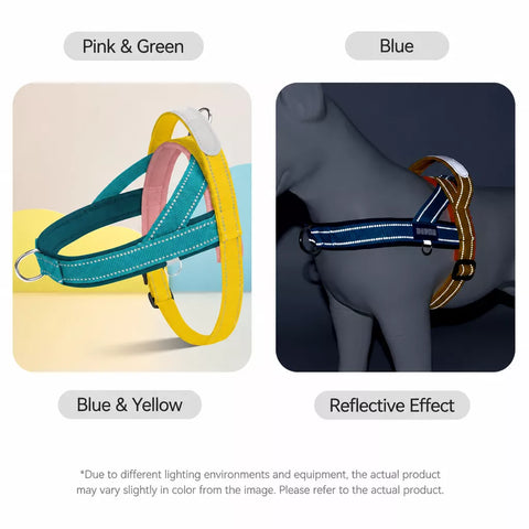 Vest-Style Nylon Dog Harness with Round Rope Leash
