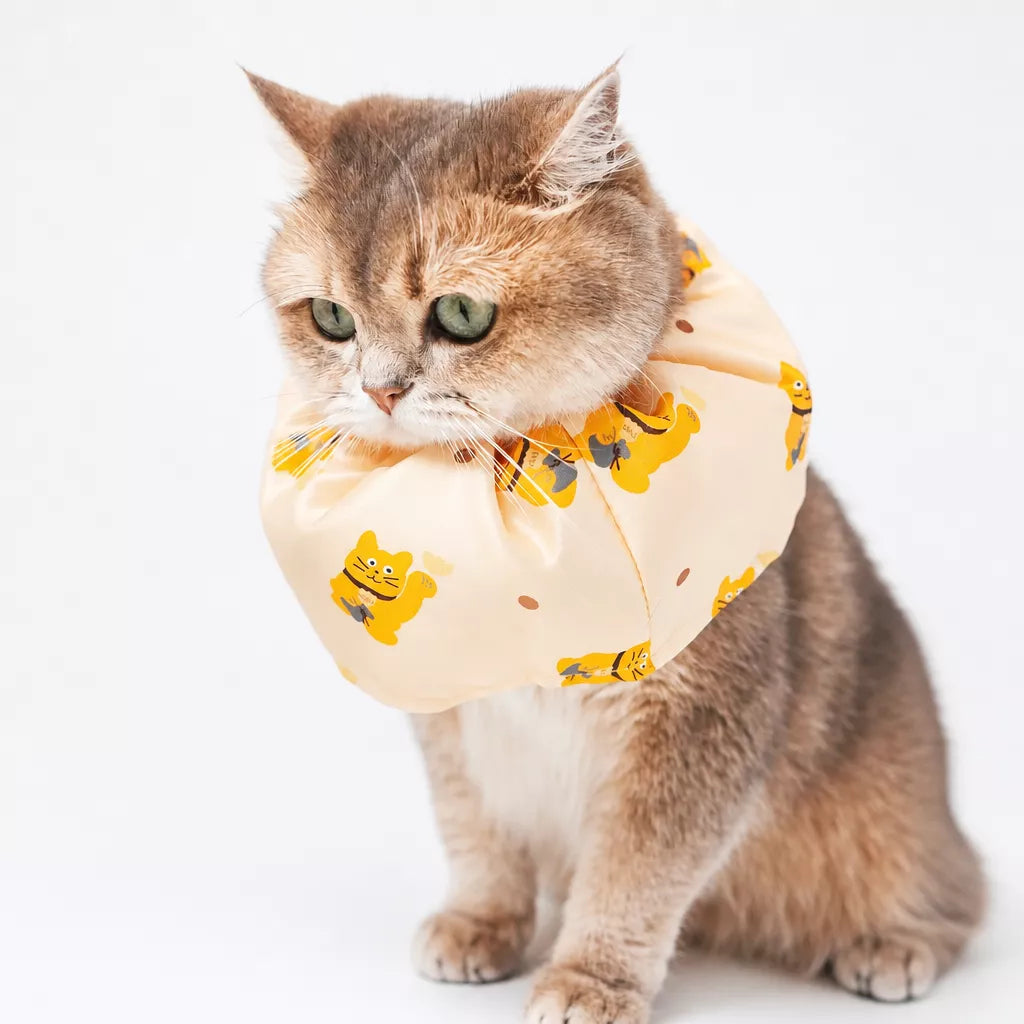 Adjustable Nylon Pet Cone with Lucky Cat Print