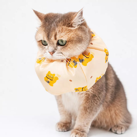 Adjustable Nylon Pet Cone with Lucky Cat Print