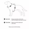 All-in-One Nylon Dog Harness with Retractable Leash