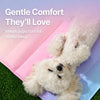 Nylon Pet Resting Mat for Dogs and Cats