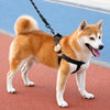 Adjustable Dog Harness and Handheld Leash