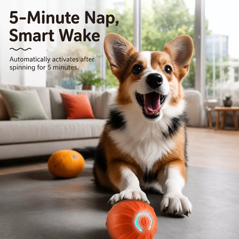 Interactive Squeaky Bouncing Ball Toy for Dogs