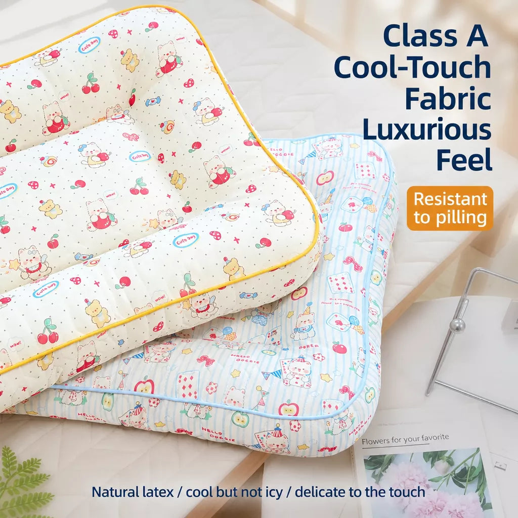 Washable Removable Small Dog Bed for Year-Round Use