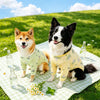Lightweight Four-Leg Dog Shirt for Warm-Weather Wear