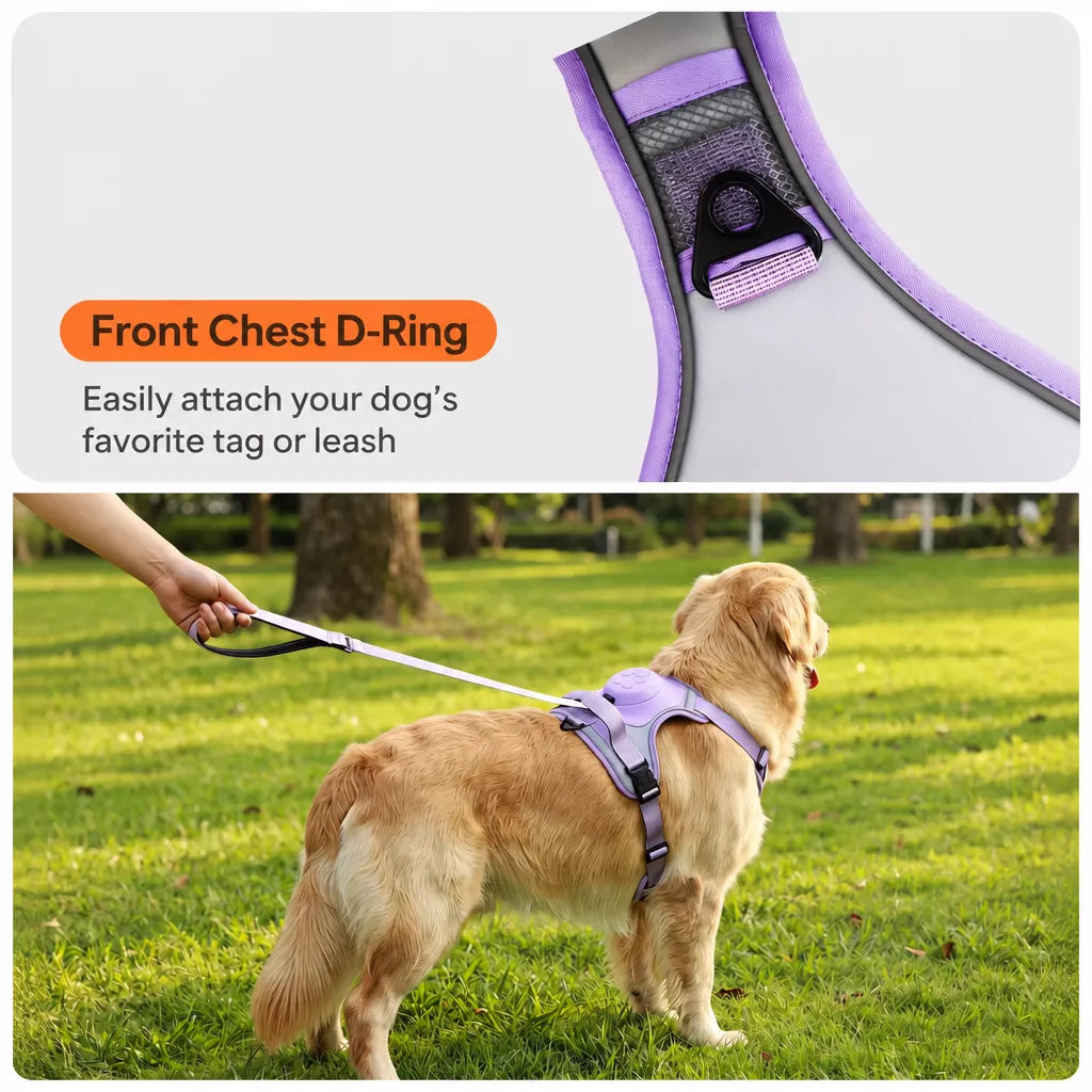 All-in-One Dog Harness with Leash
