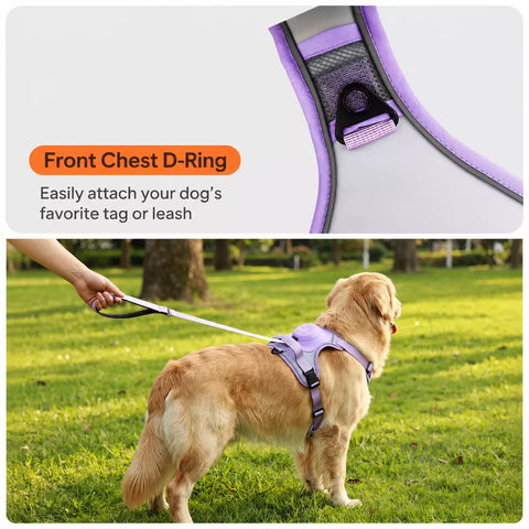 All-in-One Dog Harness with Leash