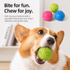 Paw Print Squeaky Ball Dog Toy