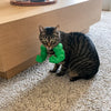 3D-Printed Arm Charm Neck Accessory for Cats and Dogs