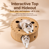 Donut Cat Scratcher Tunnel Bed