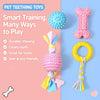 Dog Chew and Play Toys