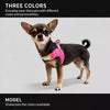Y-Front Polyester Dog Harness with Leash for Small Dogs