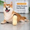Peanut-Shaped Squeaky Dog Toy for Small and Large Breeds