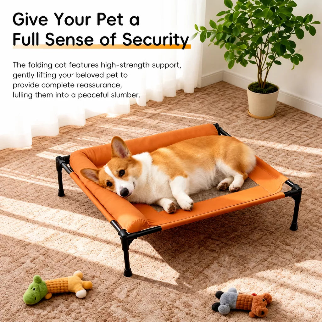 Elevated Mesh Dog Cot with Iron Frame for Small and Large Dogs